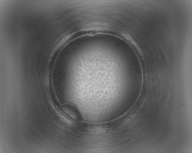 X0000056370533200509021817