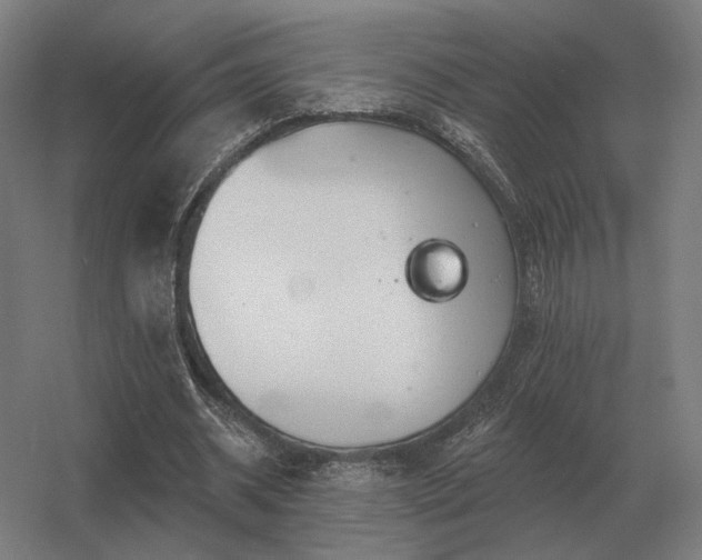 X0000056370534200509021817