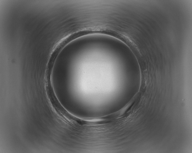 X0000056370536200509021817