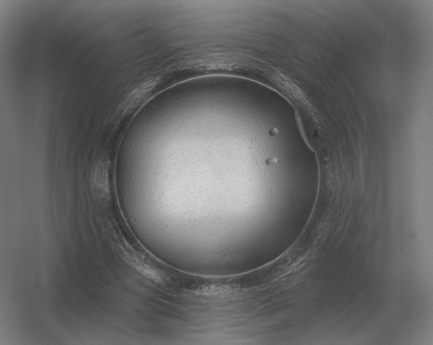 X0000056370537200509021817