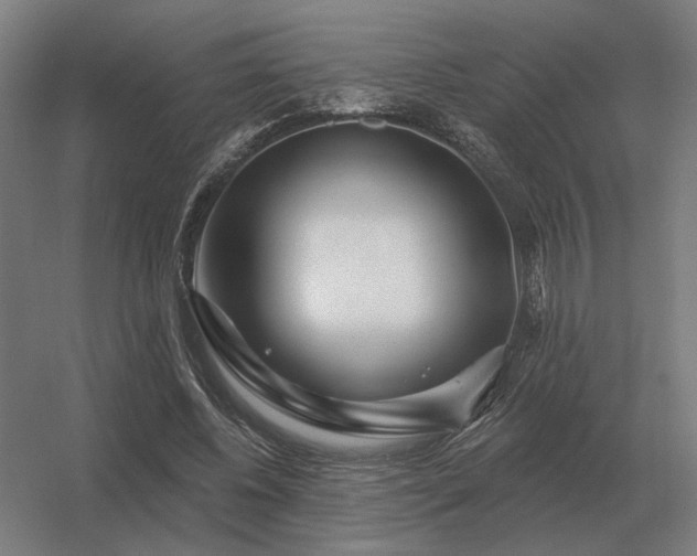 X0000056370540200509021817