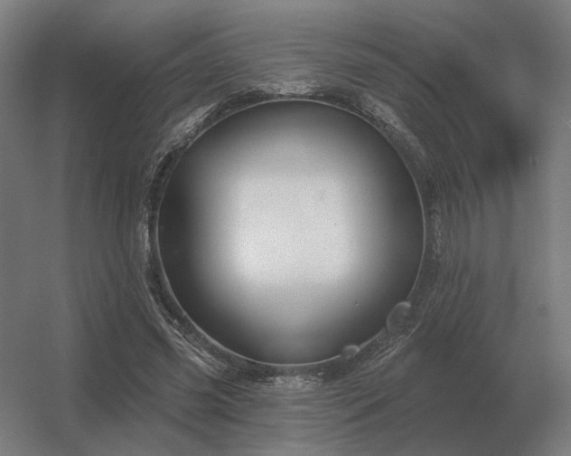 X0000056370541200509021817