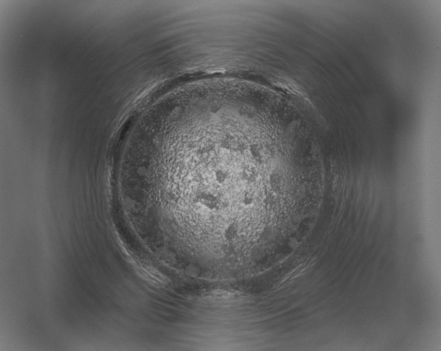 X0000056370542200509021817