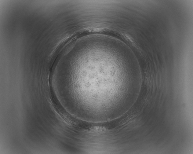 X0000056370543200509021817