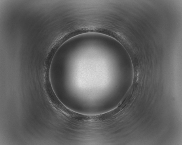 X0000056370544200509021817