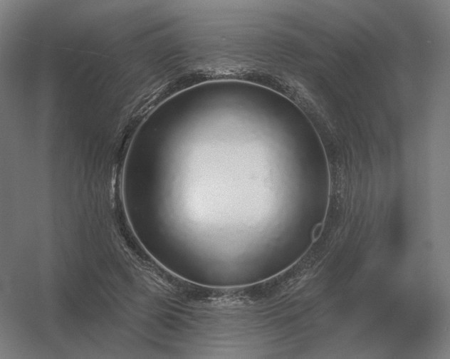 X0000056370545200509021817