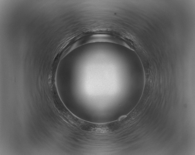 X0000056370548200509021817