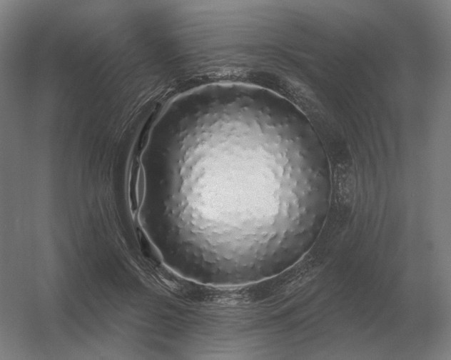 X0000056370550200509021817