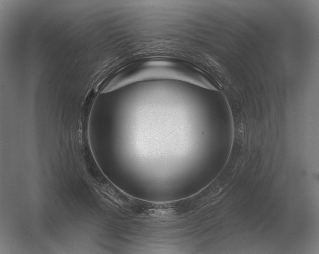 X0000056370552200509021817