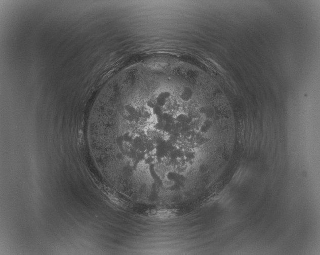 X0000056370553200509021817