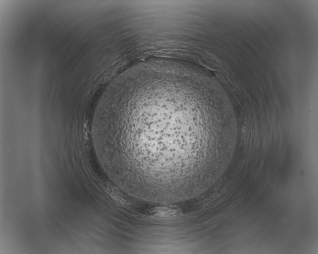 X0000056370555200509021817