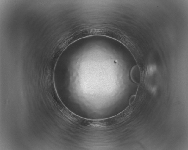 X0000056370557200509021817