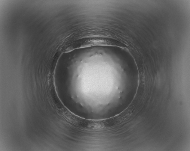 X0000056370559200509021817