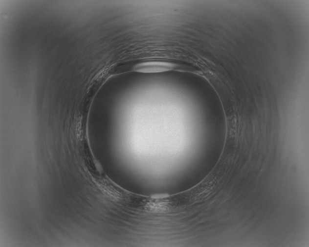 X0000056370560200509021817