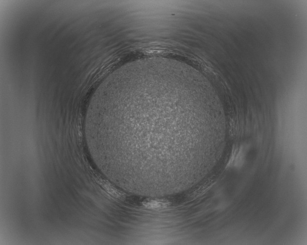 X0000056370561200509021817