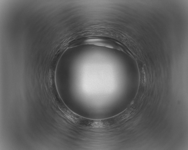 X0000056370562200509021817