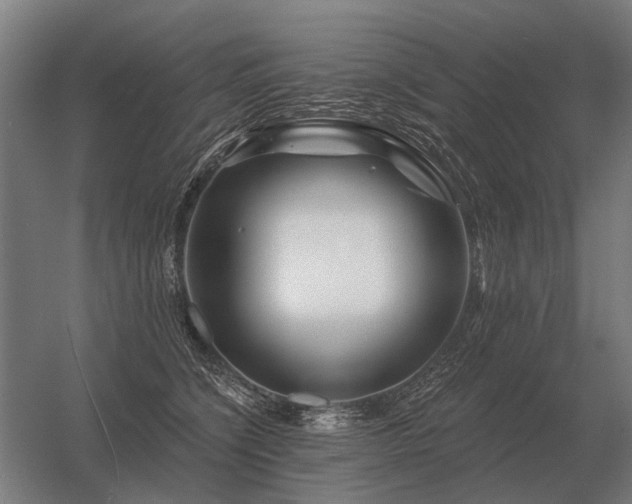 X0000056370564200509021817