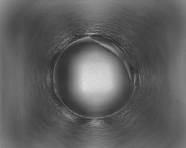 X0000056370566200509021817