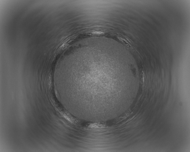 X0000056370568200509021817