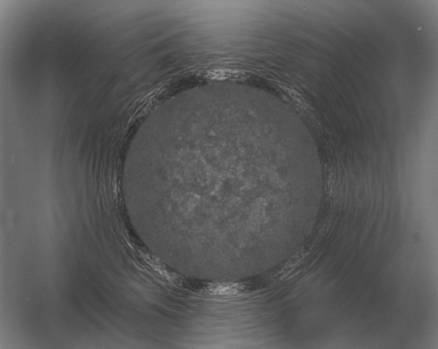 X0000056370569200509021817