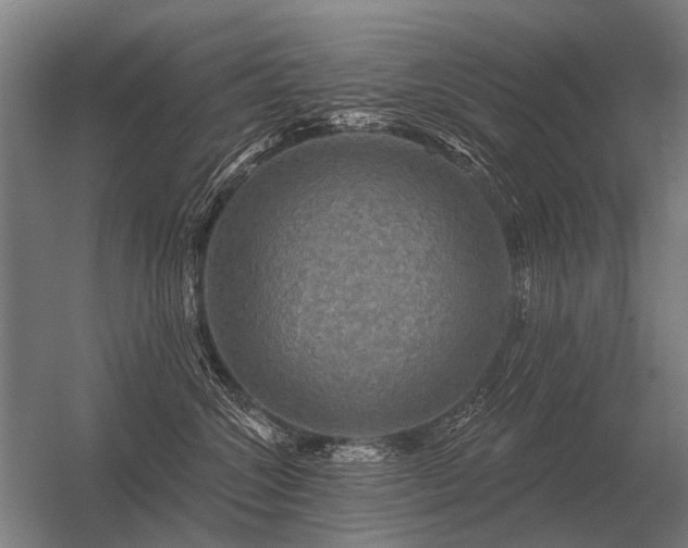 X0000056370572200509021817