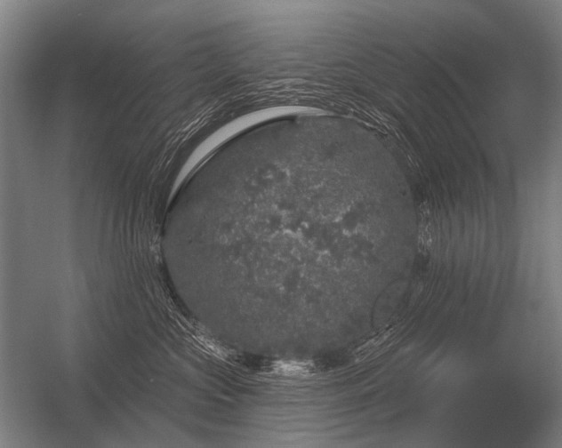 X0000056370573200509021817