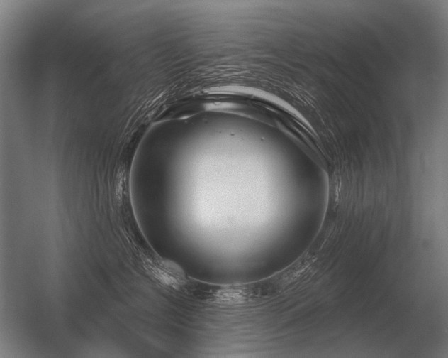 X0000056370574200509021817