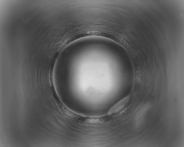 X0000056370575200509021817