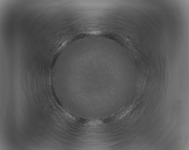 X0000056370576200509021817