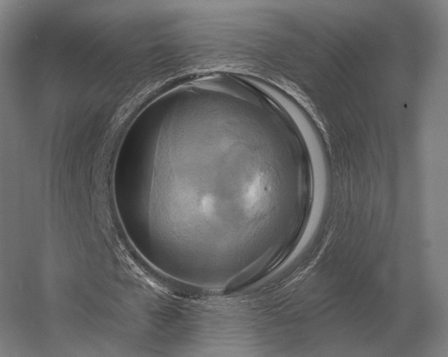 X0000056370577200509021816