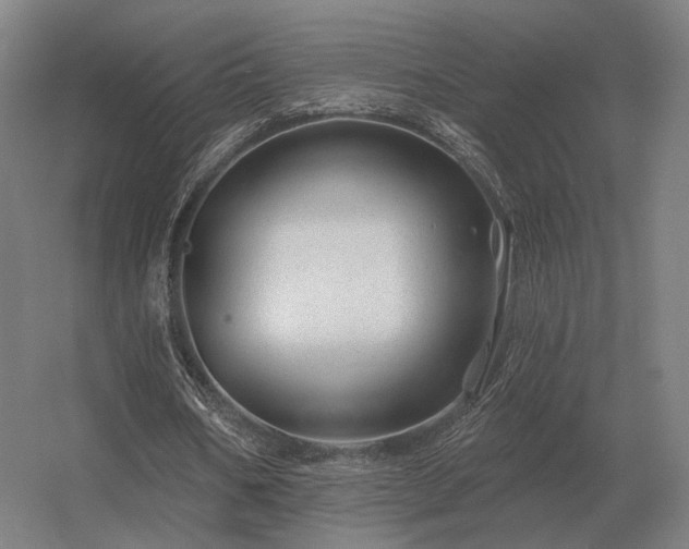 X0000056370578200509021816