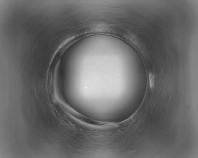 X0000056370579200509021816