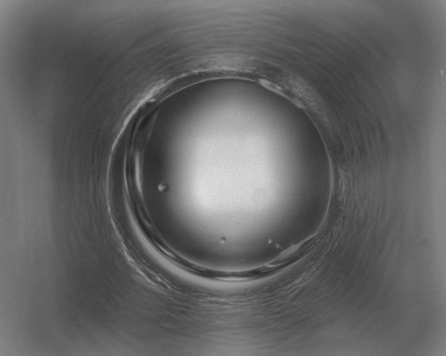 X0000056370580200509021816