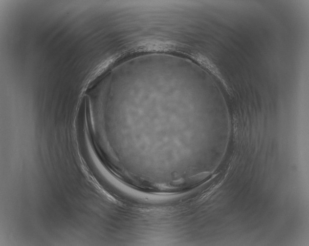 X0000056370581200509021816