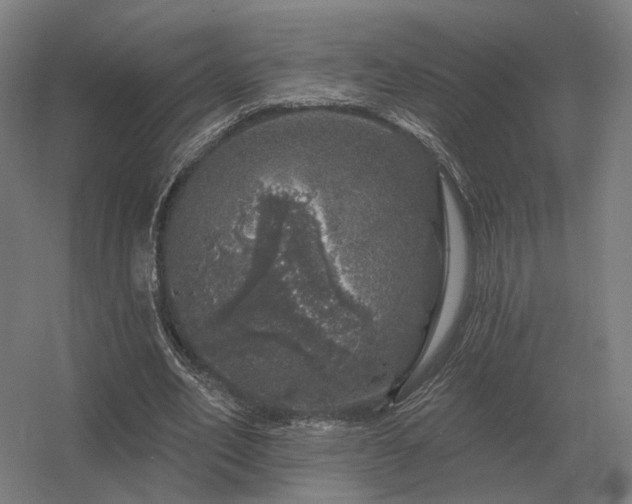 X0000056370582200509021816