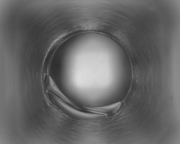 X0000056370583200509021816