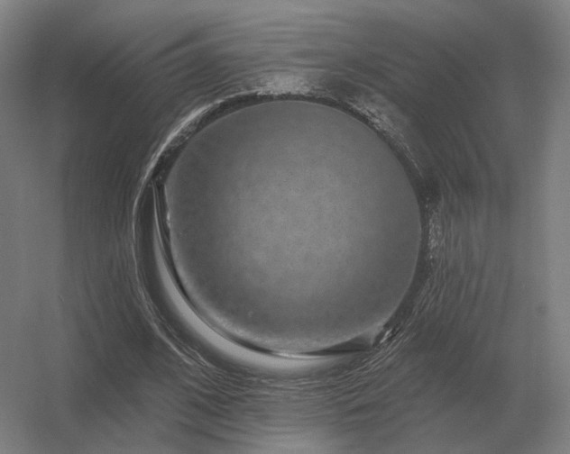 X0000056370584200509021816