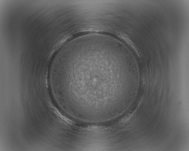 X0000056370585200509021816