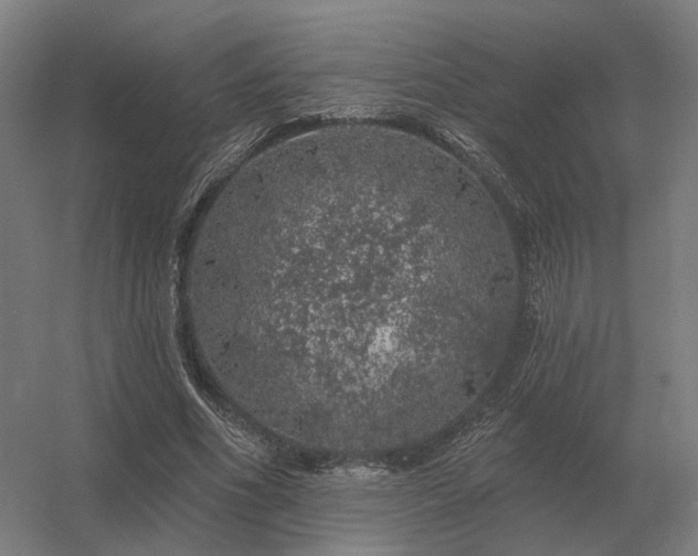 X0000056370586200509021816