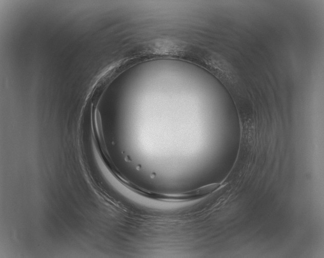 X0000056370587200509021816