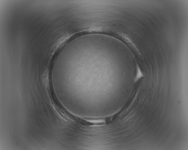 X0000056370588200509021816