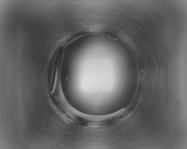 X0000056370589200509021816