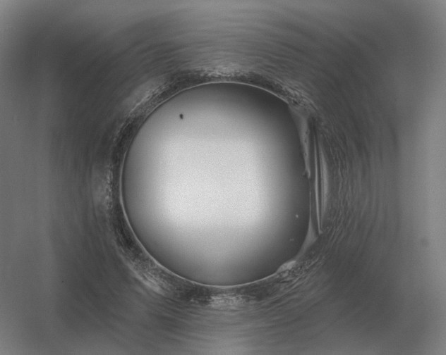 X0000056370591200509021816