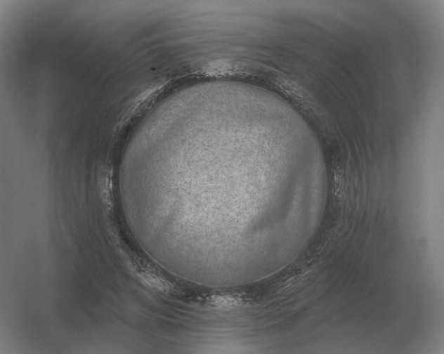 X0000056370592200509021816