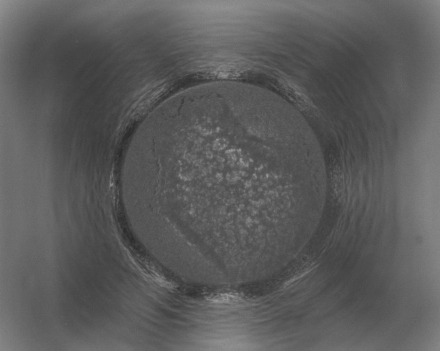 X0000056370594200509021816