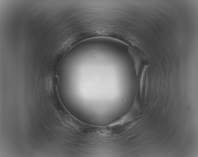 X0000056370595200509021816