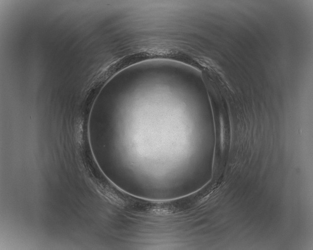 X0000056370596200509021816