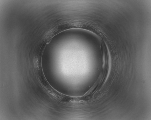 X0000056370597200509021816