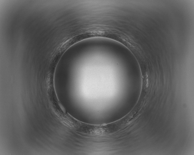 X0000056370600200509021816