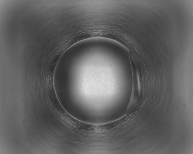 X0000056370601200509021816